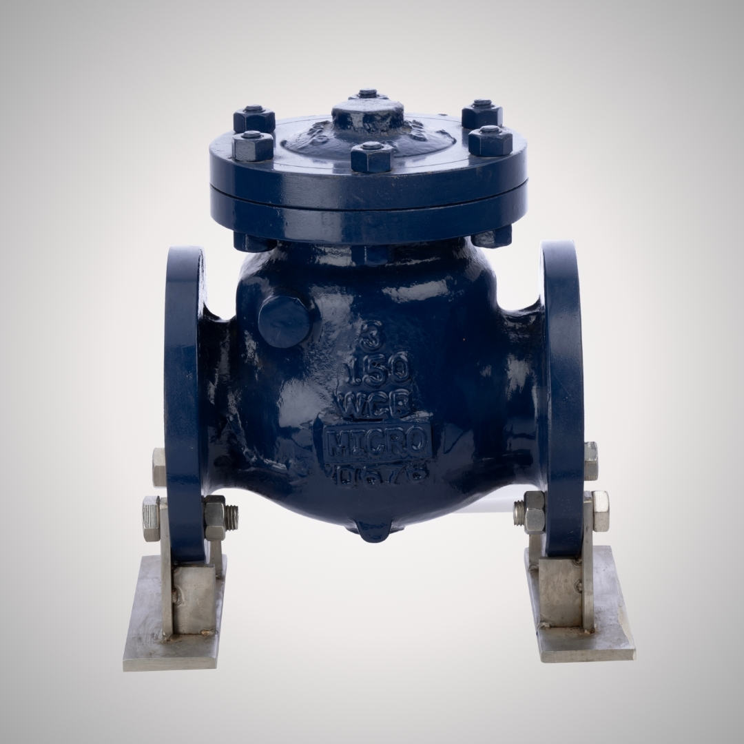 Check Valves