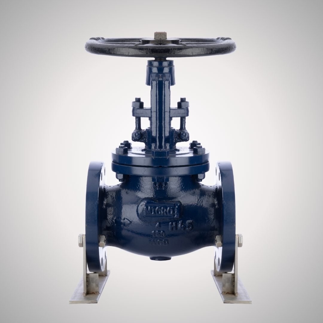 Globe Valves